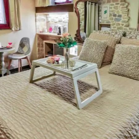 公寓 Le Romantique - Terrace & Jardin - Hypercentre - Rent Immo 第戎