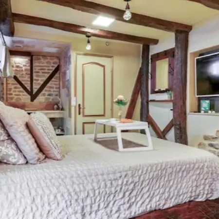 Le Romantique - Terrace & Jardin - Hypercentre - Rent Immo アパート ディジョン