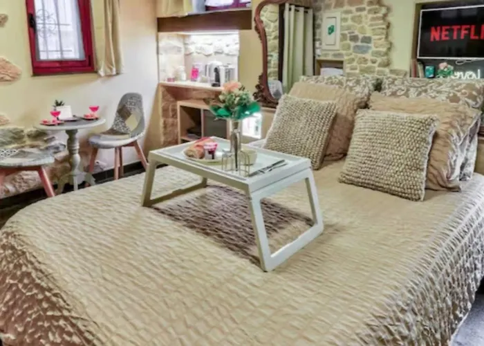 Διαμέρισμα Le Romantique - Terrace & Jardin - Hypercentre - Rent Immo Ντιζόν