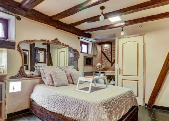 Le Romantique - Terrace & Jardin - Hypercentre - Rent Immo *