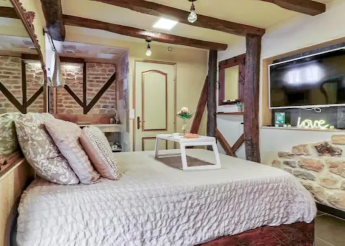 Le Romantique - Terrace & Jardin - Hypercentre - Rent Immo Διαμέρισμα Ντιζόν